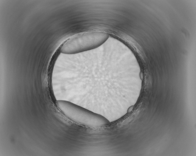 X0000110990924200907311007
