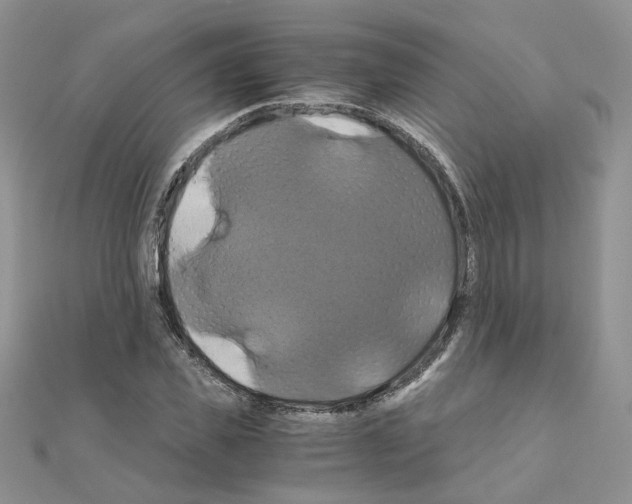 X0000110990925200907311007