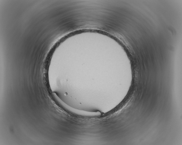 X0000110990926200907311007