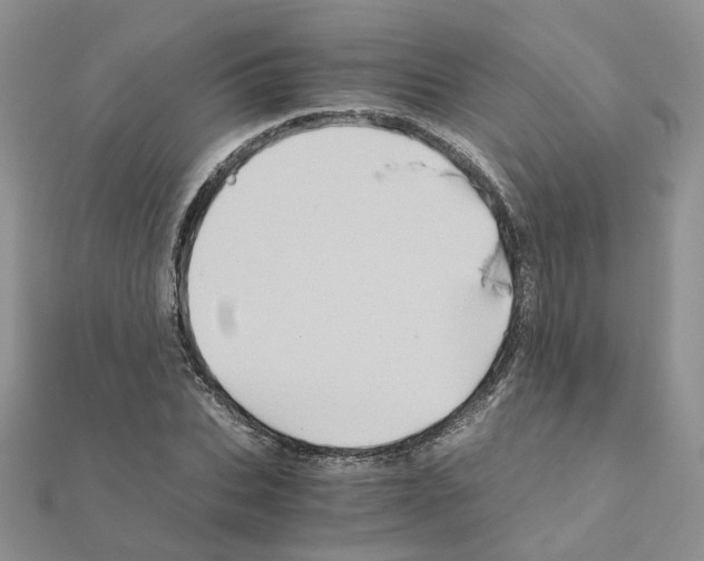 X0000110990927200907311007