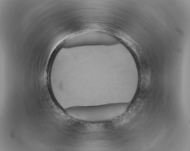 X0000110990928200907311007