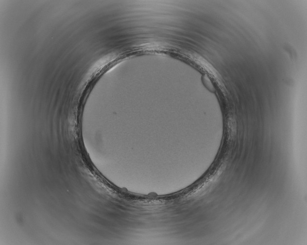 X0000110990930200907311007