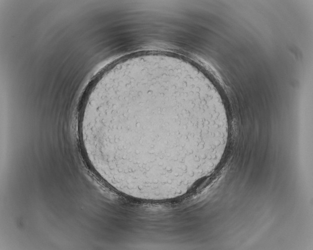 X0000110990931200907311007
