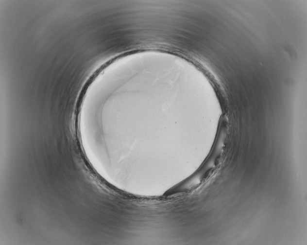 X0000110990932200907311007