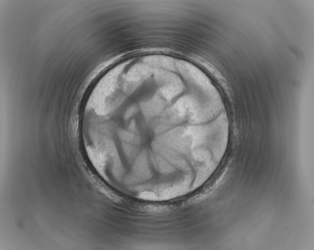 X0000110990933200907311007