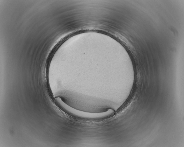 X0000110990934200907311007