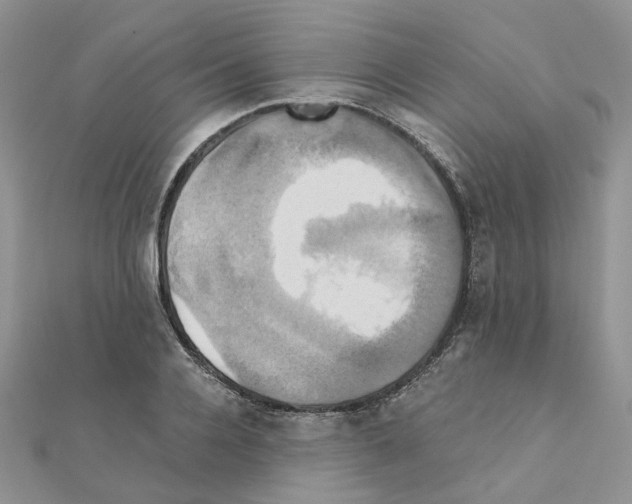 X0000110990936200907311007