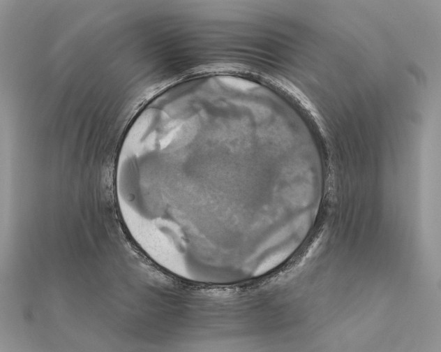 X0000110990937200907311007