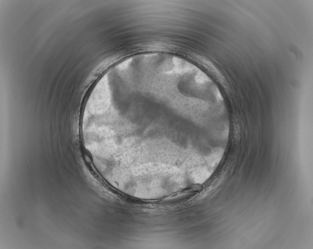 X0000110990938200907311007