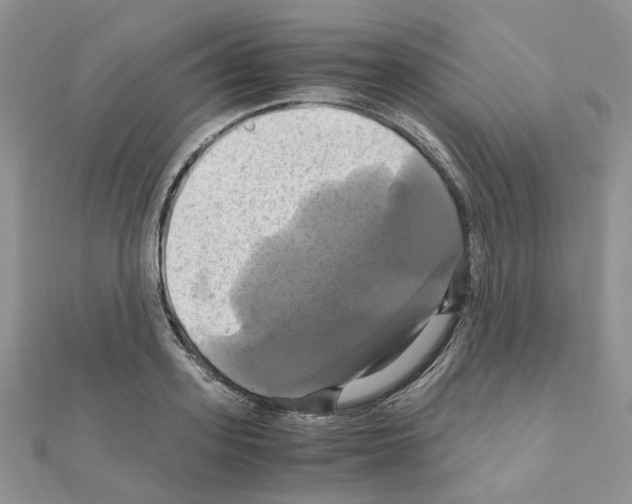 X0000110990939200907311007