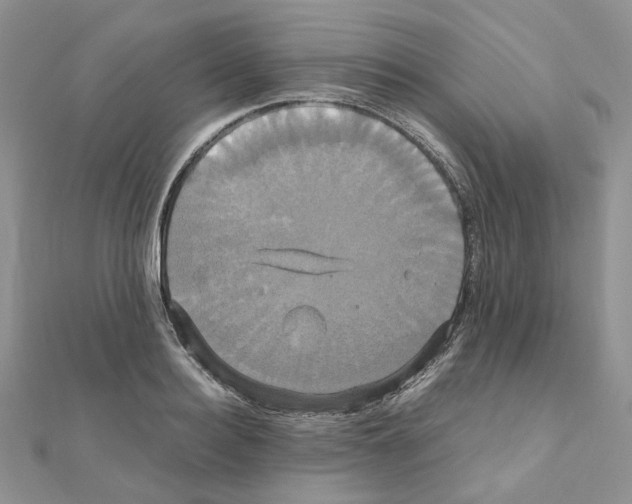 X0000110990940200907311007