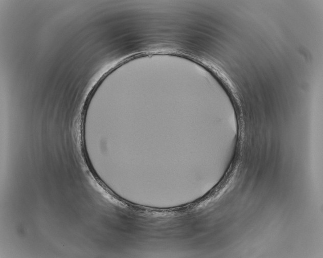 X0000110990941200907311007