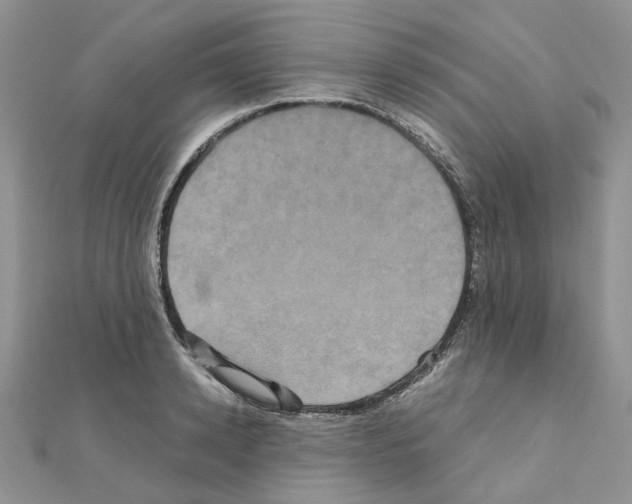X0000110990942200907311007