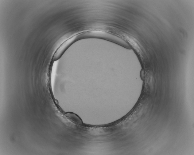 X0000110990944200907311007