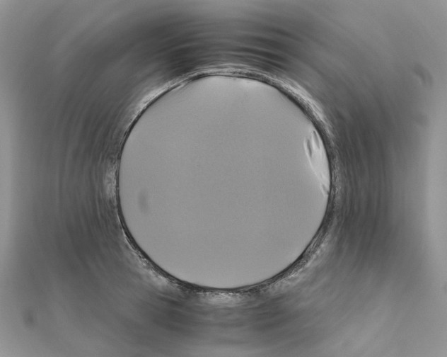 X0000110990945200907311007