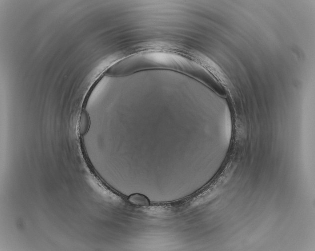 X0000110990946200907311007