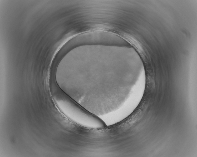 X0000110990948200907311007