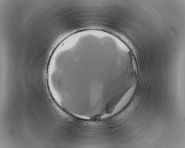 X0000110990951200907311007