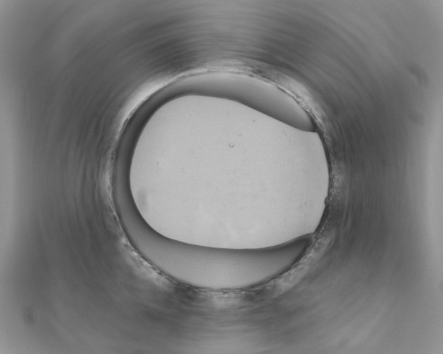 X0000110990952200907311007
