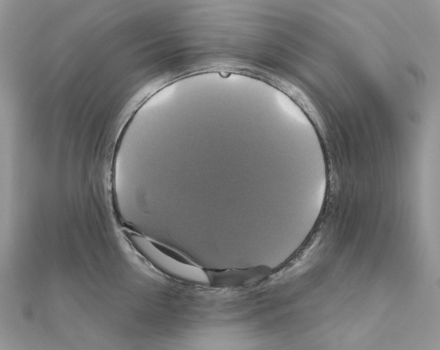 X0000110990954200907311007