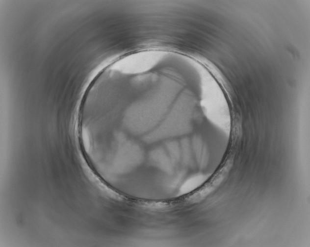 X0000110990957200907311007