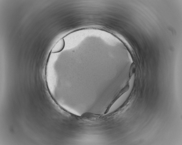 X0000110990959200907311007
