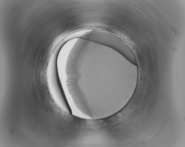X0000110990960200907311007