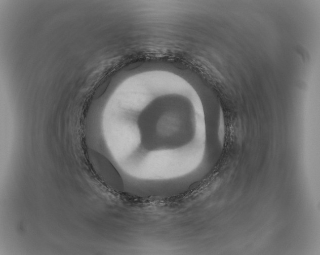 X0000110990961200907311007