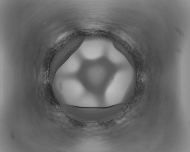 X0000110990965200907311006