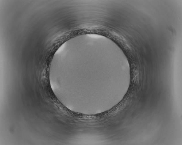 X0000110990966200907311006
