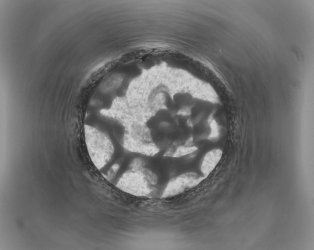 X0000110990967200907311006