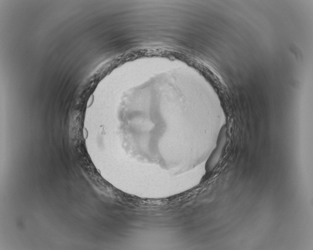 X0000110990968200907311006