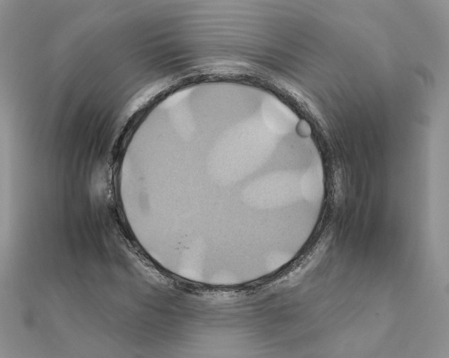 X0000110990970200907311006