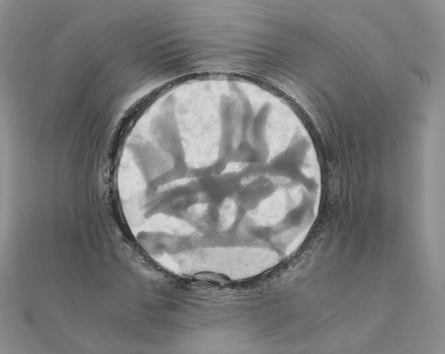 X0000110990971200907311006