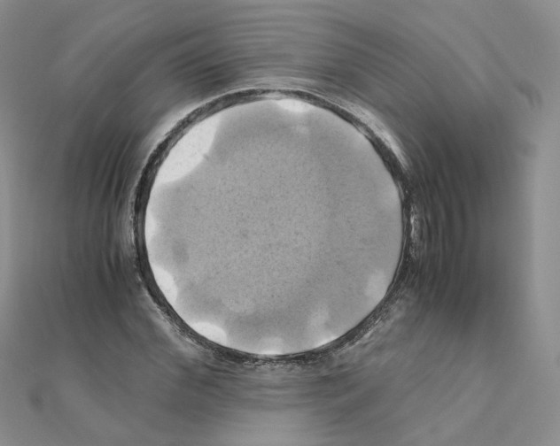 X0000110990972200907311006