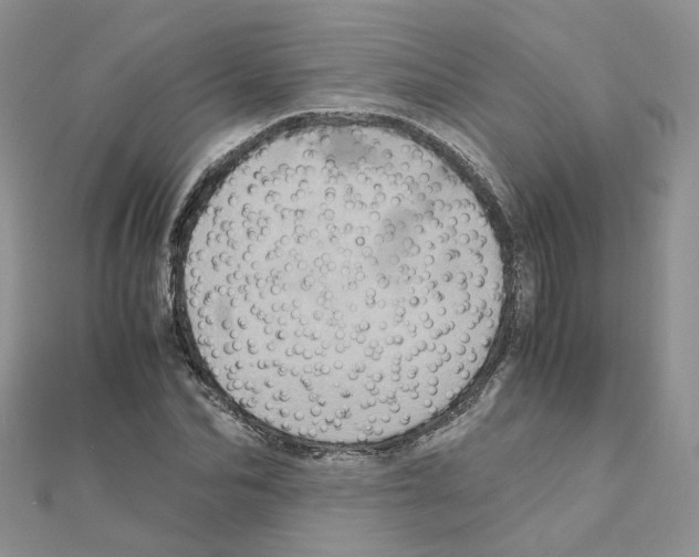 X0000110990974200907311006