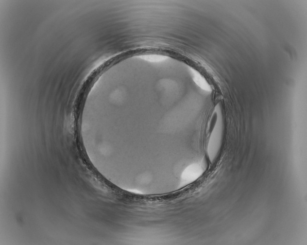 X0000110990975200907311006