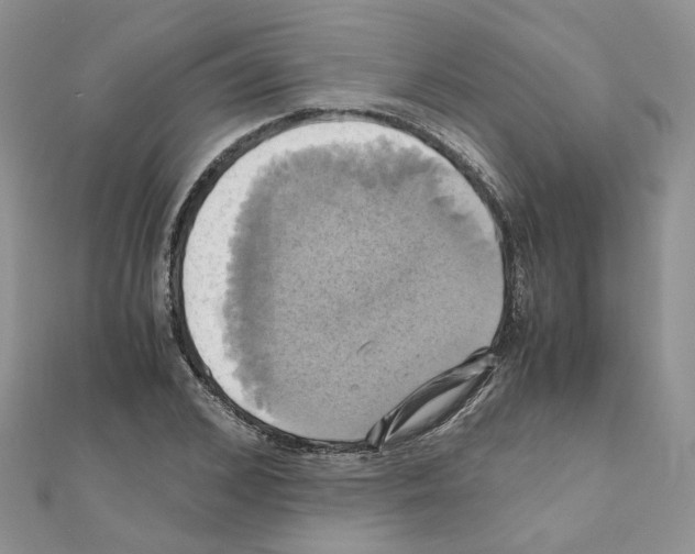 X0000110990976200907311006