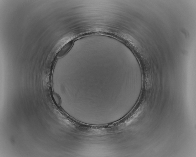 X0000110990977200907311006