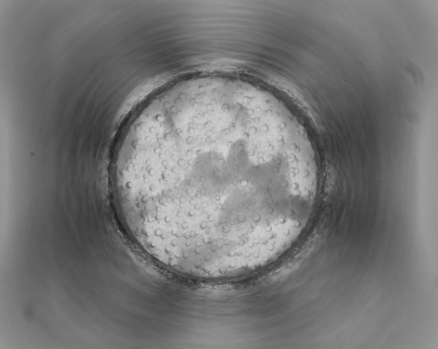 X0000110990978200907311006