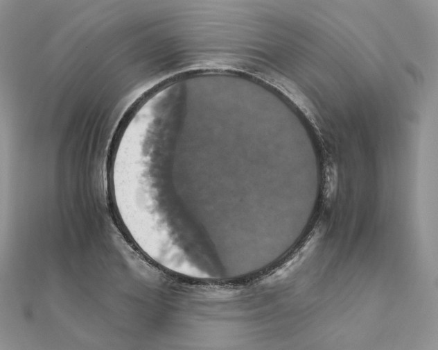 X0000110990980200907311006