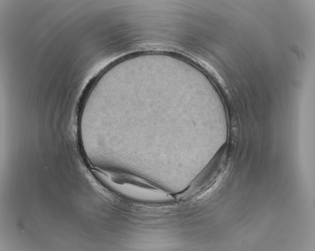 X0000110990981200907311006