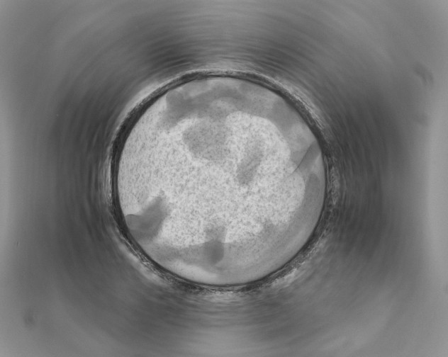 X0000110990982200907311006