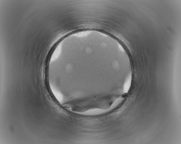 X0000110990983200907311006
