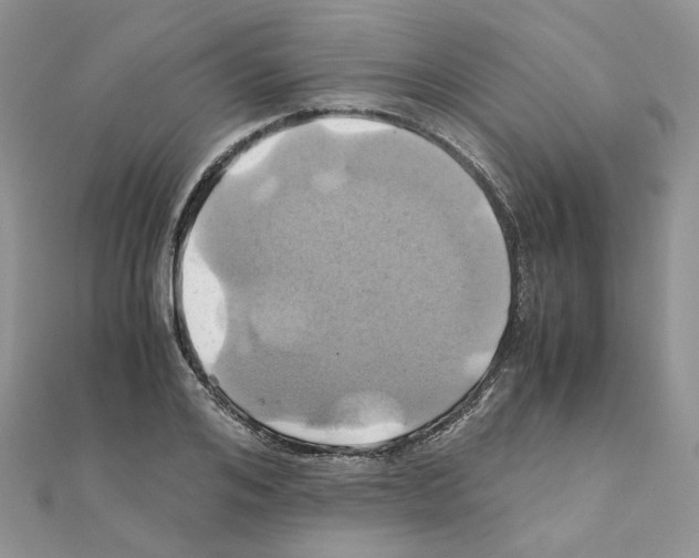 X0000110990984200907311006