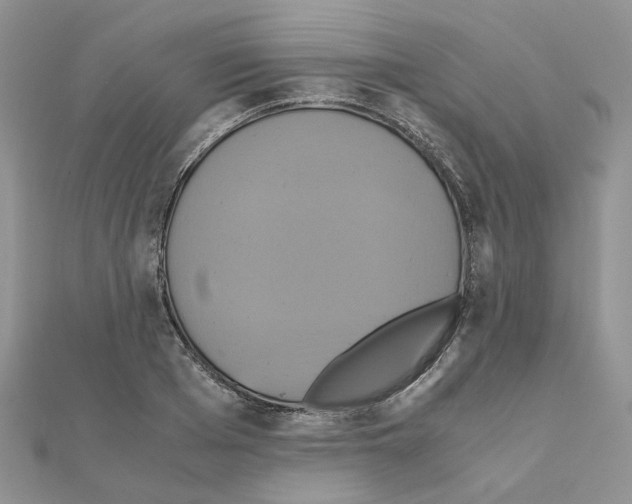 X0000110990985200907311006