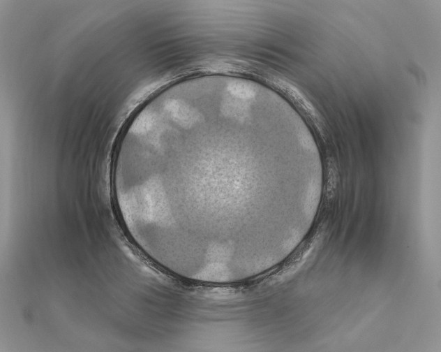 X0000110990986200907311006