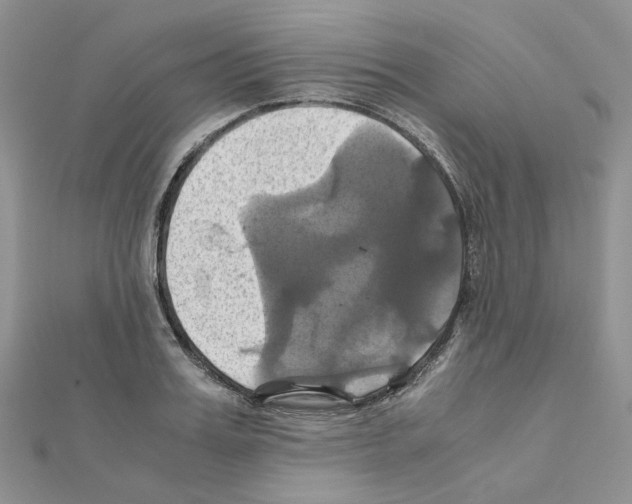 X0000110990987200907311006
