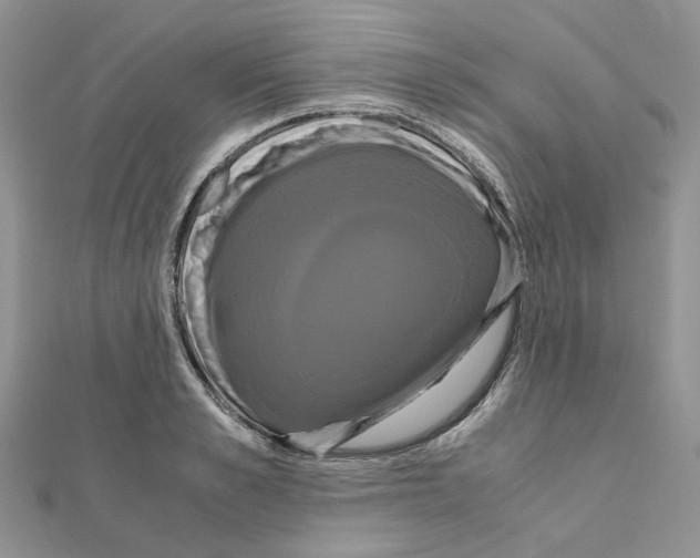 X0000110990989200907311006
