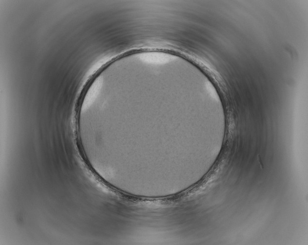 X0000110990990200907311006